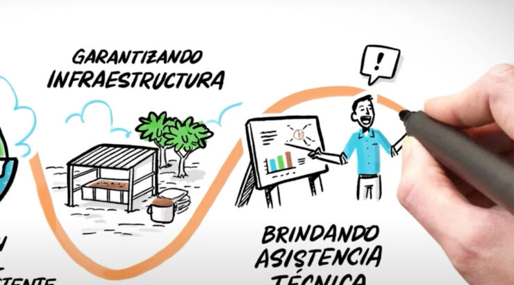 animacion-whiteboard-en-bogota